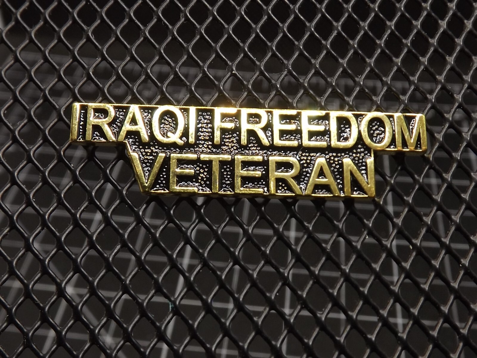 s l1600 1037.jpg "Iraqi Freedom Veteran" Script Lapel Pin – 1-1/2" Gold-tone
