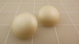s l1600 11914.jpg