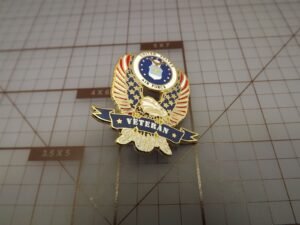 "Veteran" U.S. Air Force Eagle Lapel Pin – Enamel