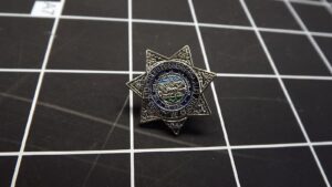 Carson City, Nevada Deputy Sheriff Star Lapel Pin – 1" Silver-tone