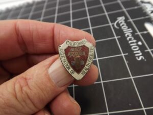 California Nurse Assistant Lapel Pin – Enamel
