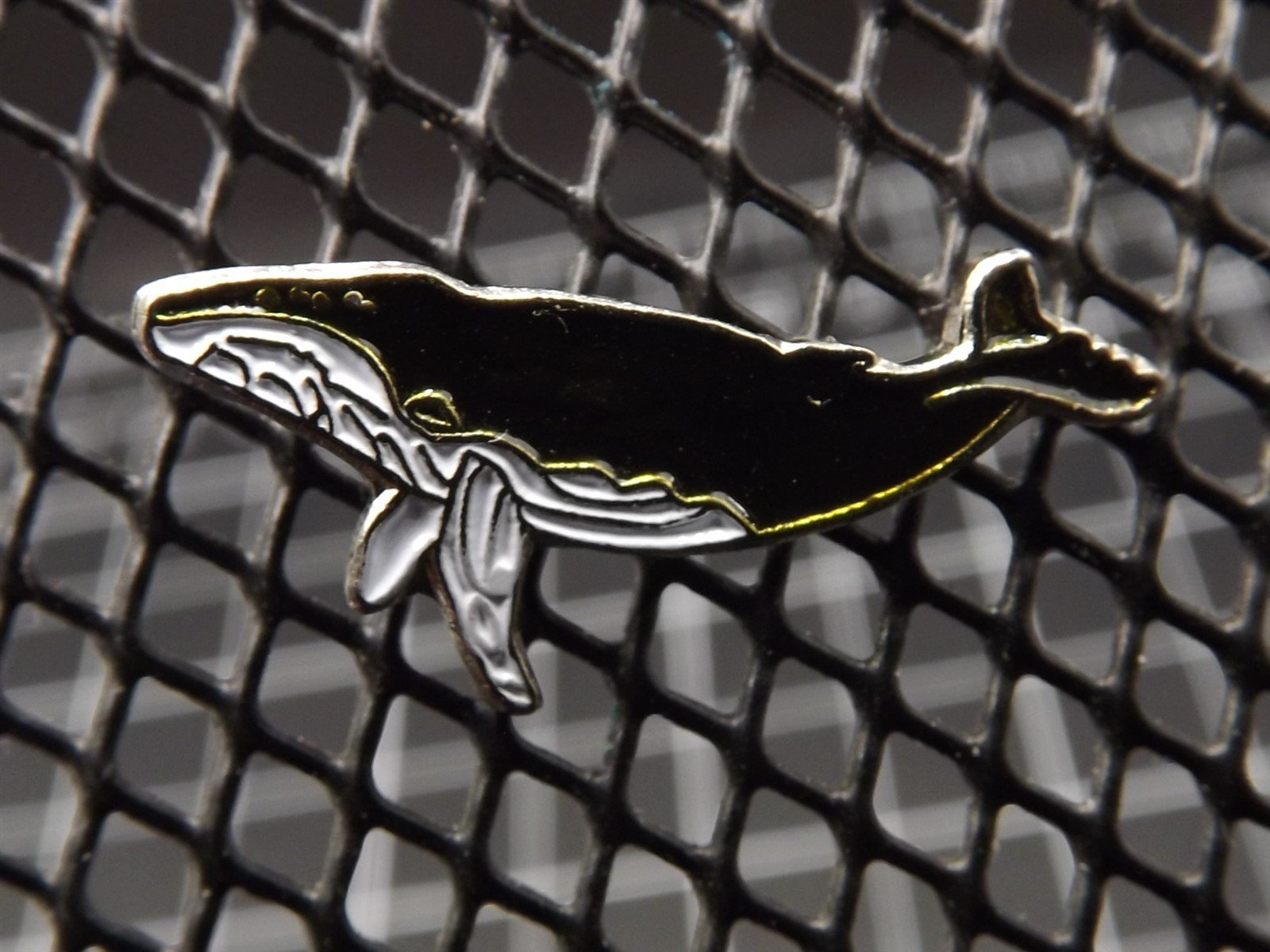 s l1600 3262.jpg Humpback Whale Lapel Pin – Enamel