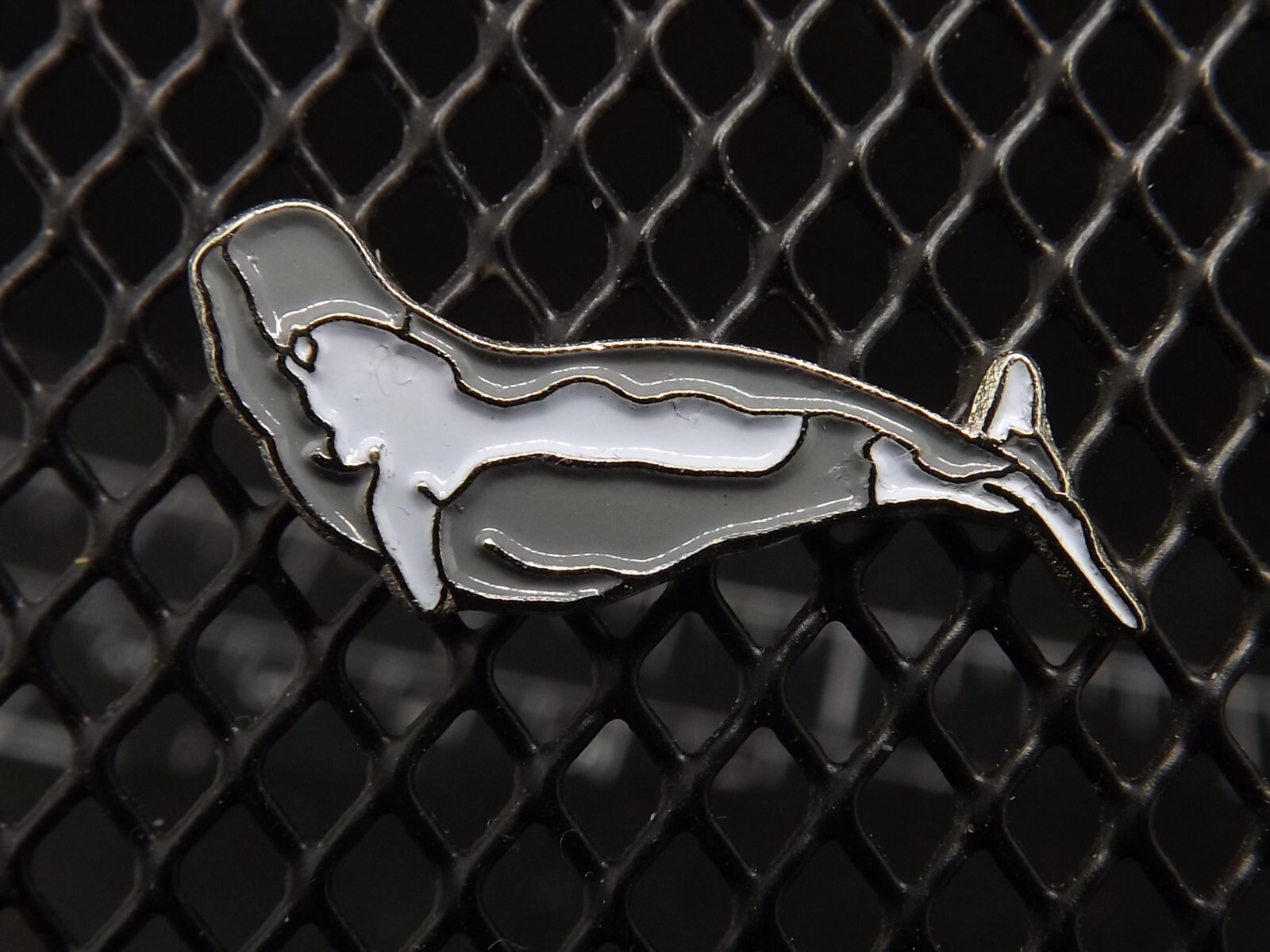 s l1600 3302.jpg Beluga Whale Lapel Pin – Enamel – photo 2