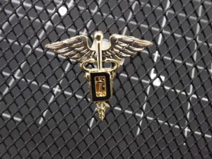Dentist "D" Caduceus Lapel Pin – 1" Gold Tone