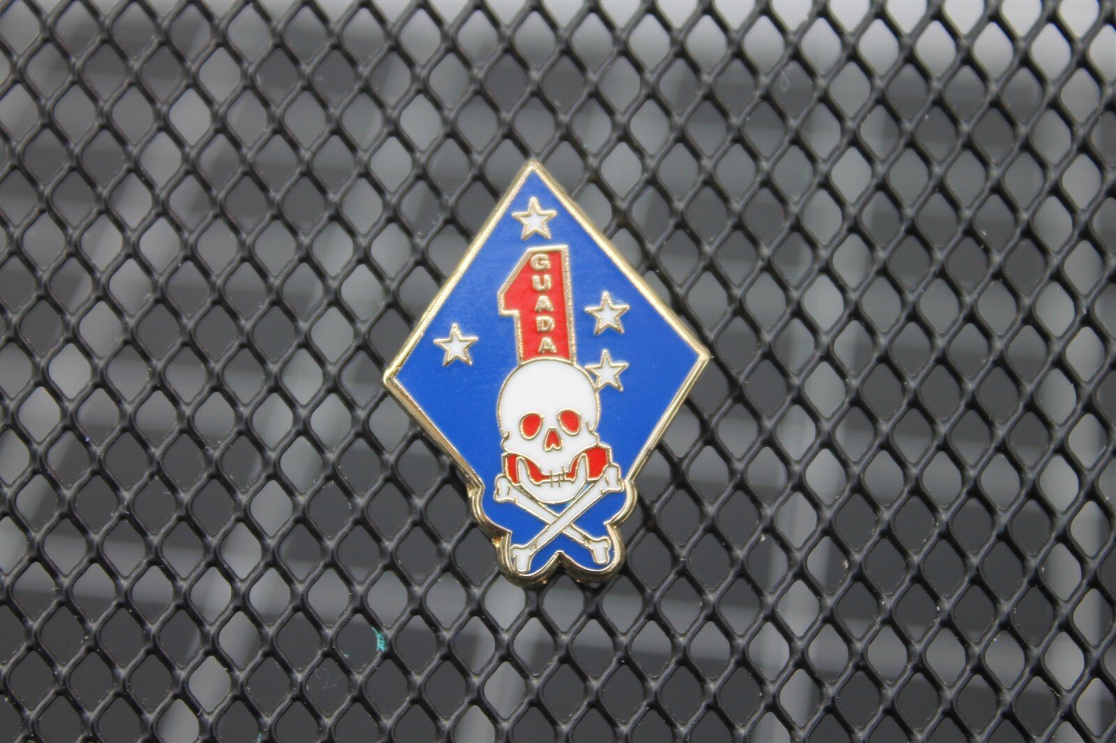 s l1600 5122.jpg USMC 1st Marine Division Guadalcanal LRRP Lapel Pin – Enamel Diamond with Skull & Crossbones Hat Pin