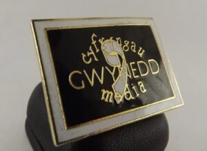 Gwynedd Lapel Pin