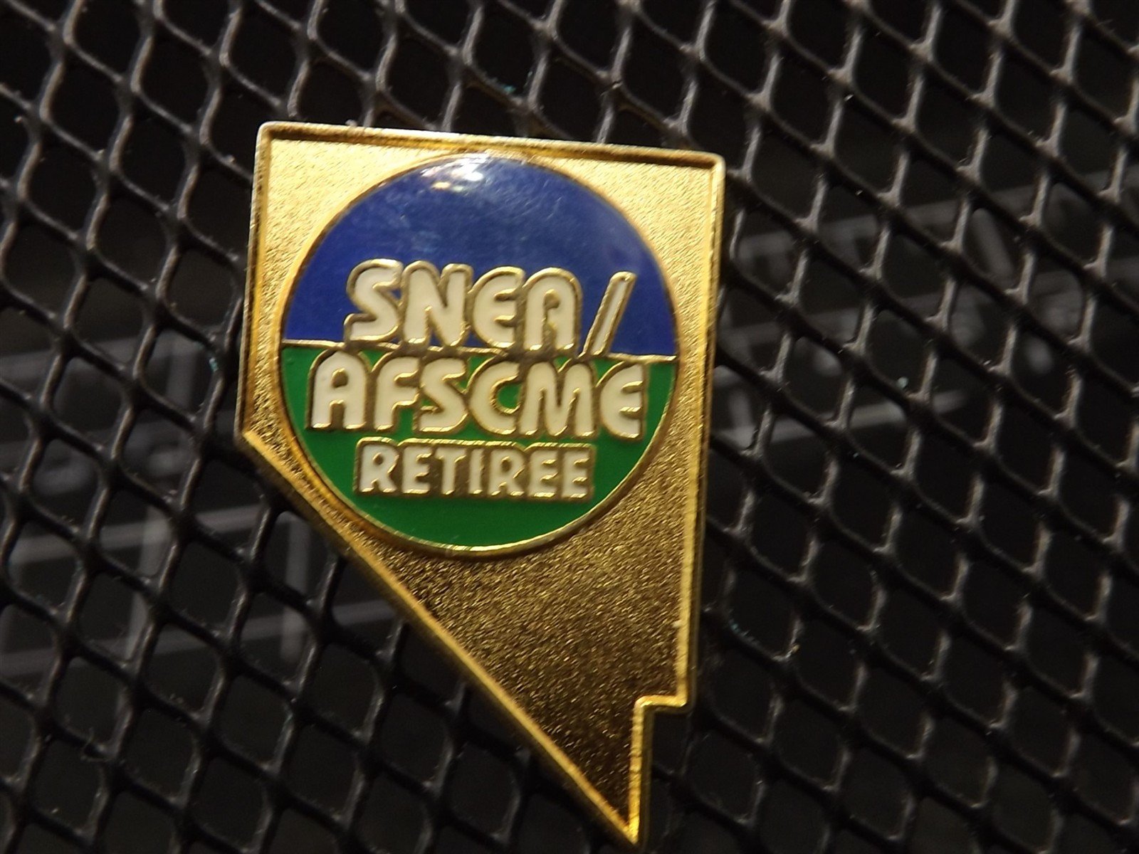 s l1600 5921.jpg SNEA / AFSCME Retiree Lapel Pin