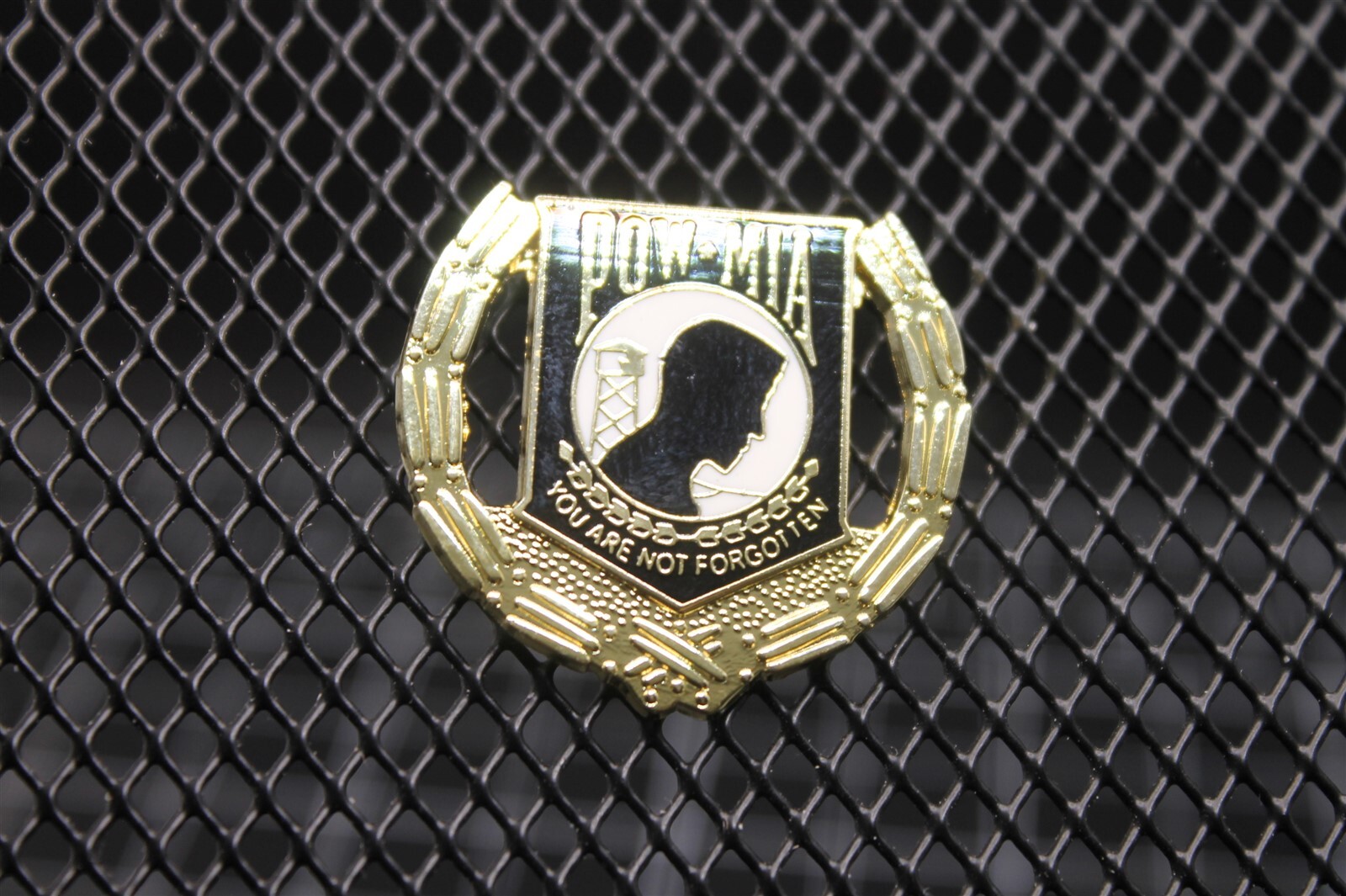 s l1600 6334.jpg POW/MIA “You Are Not Forgotten” Lapel Pin