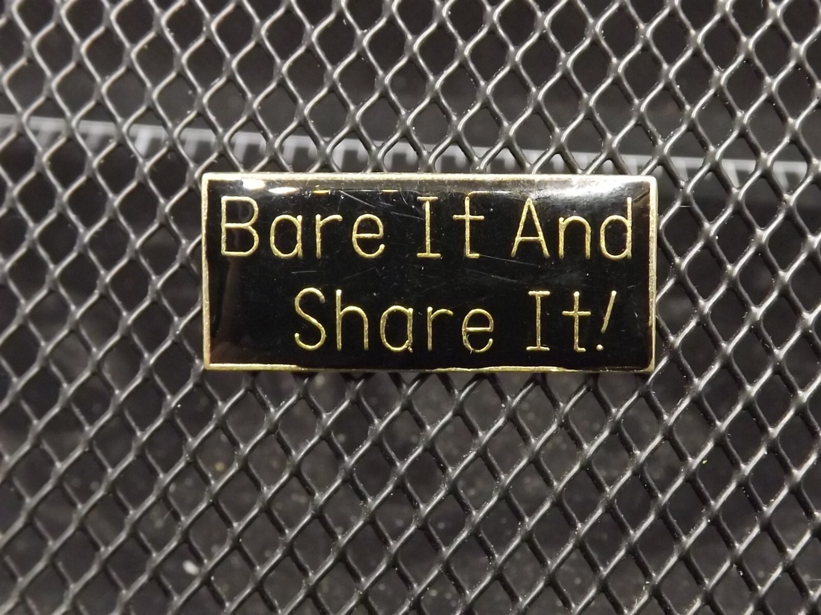 s l1600 7233.jpg “Bare It and Share It” Novelty Lapel Pin