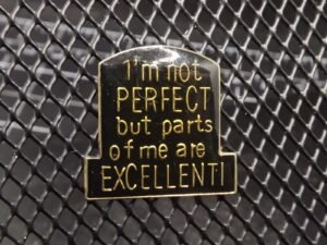 “I'm Not Perfect, But Parts of Me Are Excellent” Novelty Lapel Pin