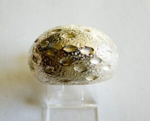 s l1600 8365.jpg
